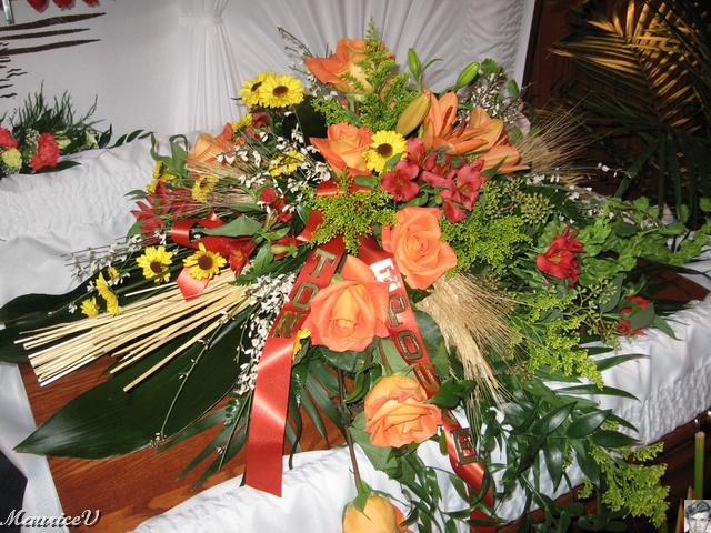 20100216-Albert-03.jpg