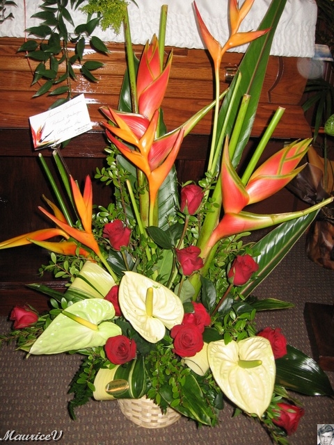 20100216-Albert-43.jpg