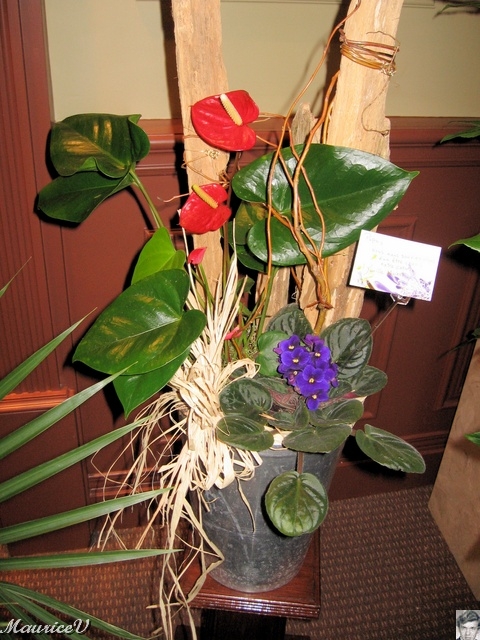 20100216-Albert-53.jpg