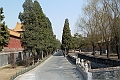 Beijing-300