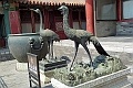 Beijing-350
