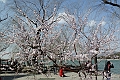 Beijing-492