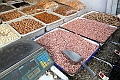 Beijing-537