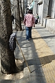 Xian-641