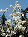 Xian-648