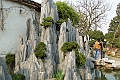 Shanghai-834