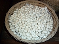 Shanghai-961