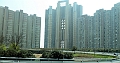 Shanghai-983