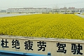 Shanghai-B66
