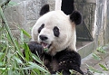 Guilin-506