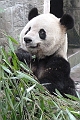 Guilin-510