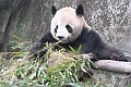 Guilin-521