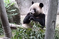 Guilin-534