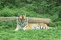 Guilin-552
