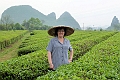 Guilin-582