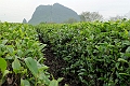 Guilin-586