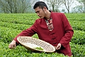 Guilin-587