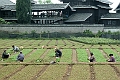 Guilin-691