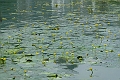 Guilin-706