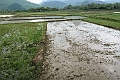 Guilin-718