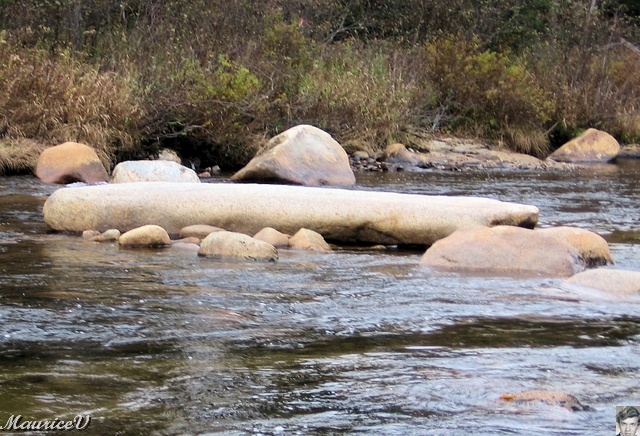 20091021-NorthConway-5576.jpg