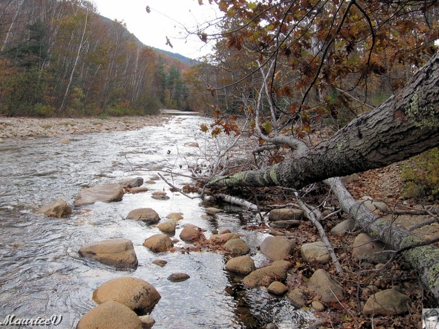 20091021-NorthConway-5579.jpg