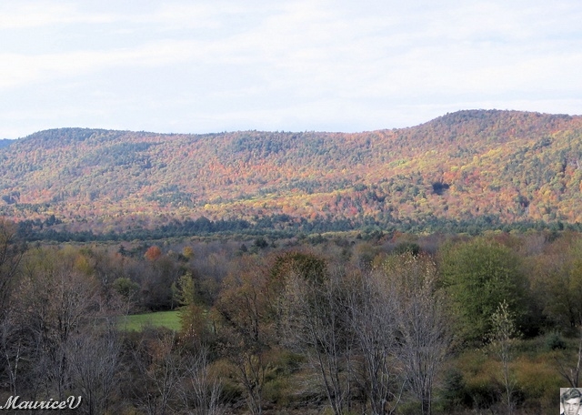 20091021-NorthConway-5591.jpg