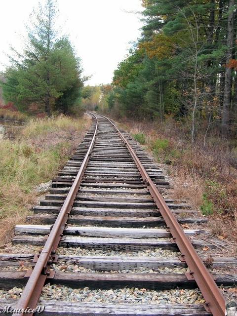 20091021-NorthConway-5597.jpg