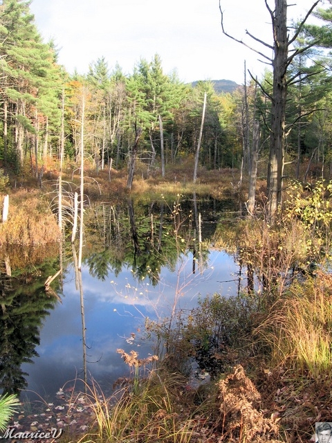 20091021-NorthConway-5600.jpg