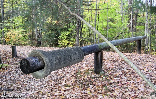 20091021-NorthConway-5608.jpg