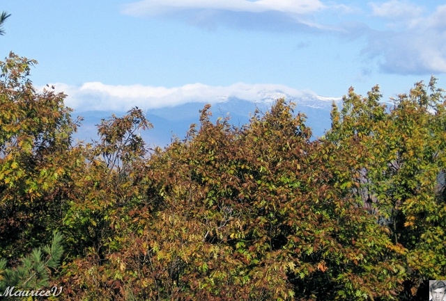 20091021-NorthConway-5626.jpg