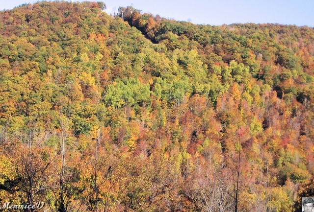 20091021-NorthConway-5627.jpg