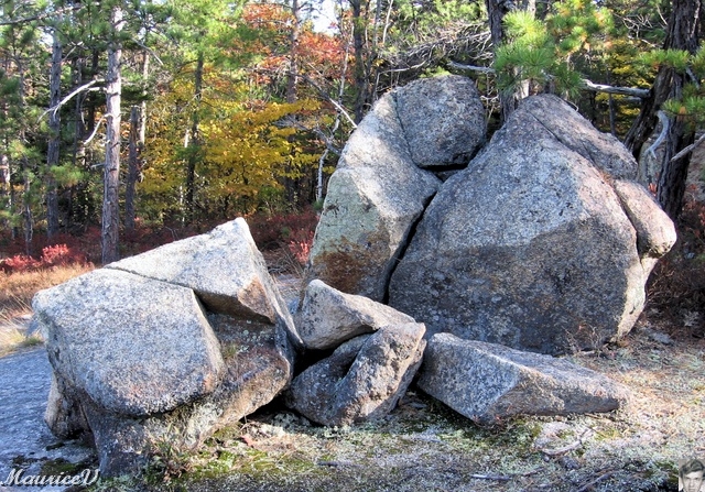 20091021-NorthConway-5630.jpg