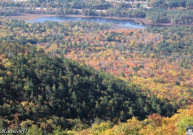 20091021-NorthConway-5634.jpg