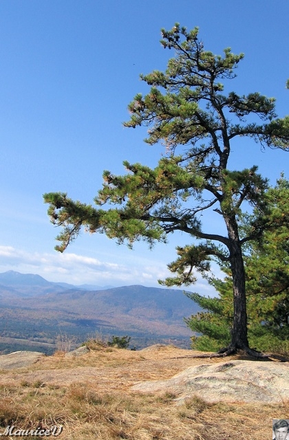 20091021-NorthConway-5642.jpg
