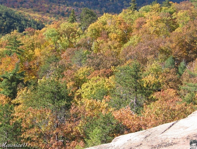 20091021-NorthConway-5656.jpg