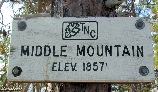 20091021-NorthConway-5670.jpg