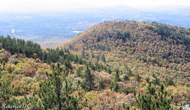 20091021-NorthConway-5677.jpg