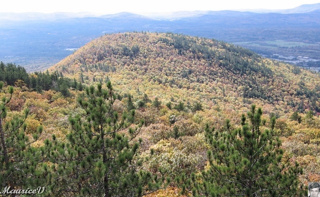 20091021-NorthConway-5686.jpg