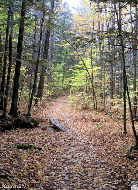 20091021-NorthConway-5698.jpg
