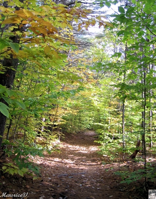 20091021-NorthConway-5703.jpg