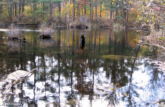 20091021-NorthConway-5705.jpg