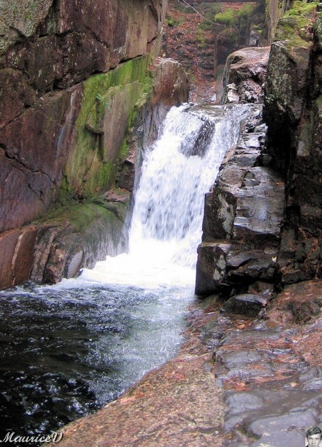 20091021-NorthConway-5731.jpg
