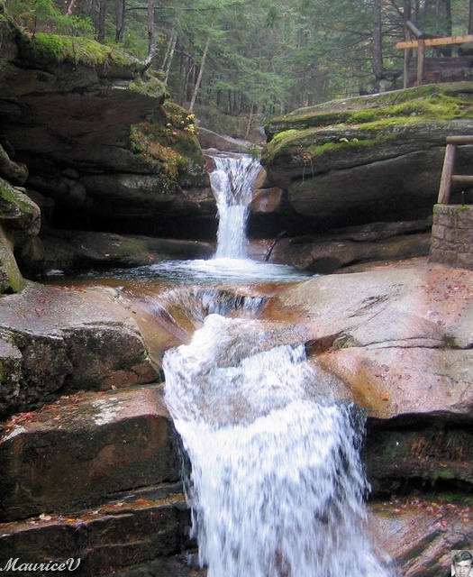 20091021-NorthConway-5735.jpg