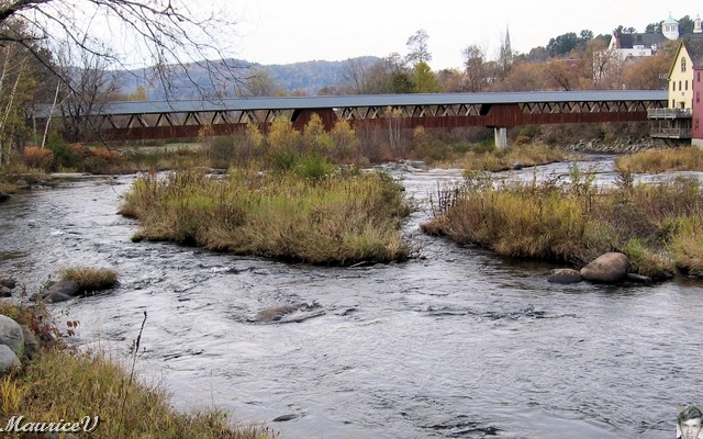 20091021-NorthConway-5743.jpg