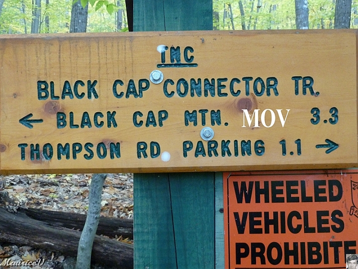 NorthConway-201210-574.jpg