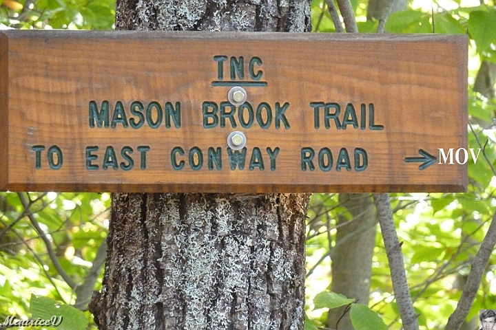 NorthConway-201210-587.jpg