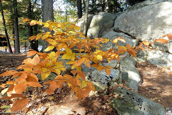 NorthConway-201210-610.jpg