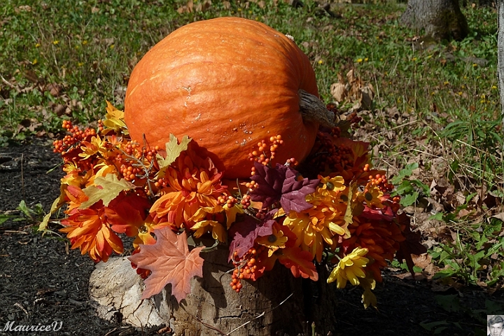 NorthConway-201210-634.jpg