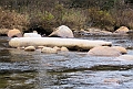 20091021-NorthConway-5576
